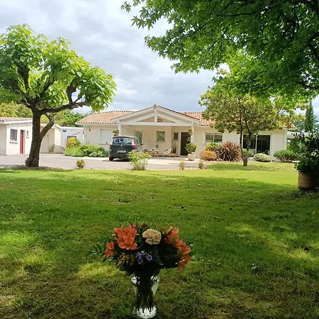 Piscine Petanque
